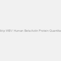 TruStrip WBV Human Beta Actin Protein Quantitation & Western Blot Validation Kit (contains actin strips, primary antibodies and Western reagents 100 strips or 10 miniblot)